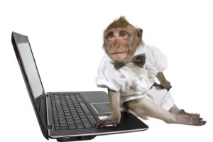 Monkey_Shutterstock